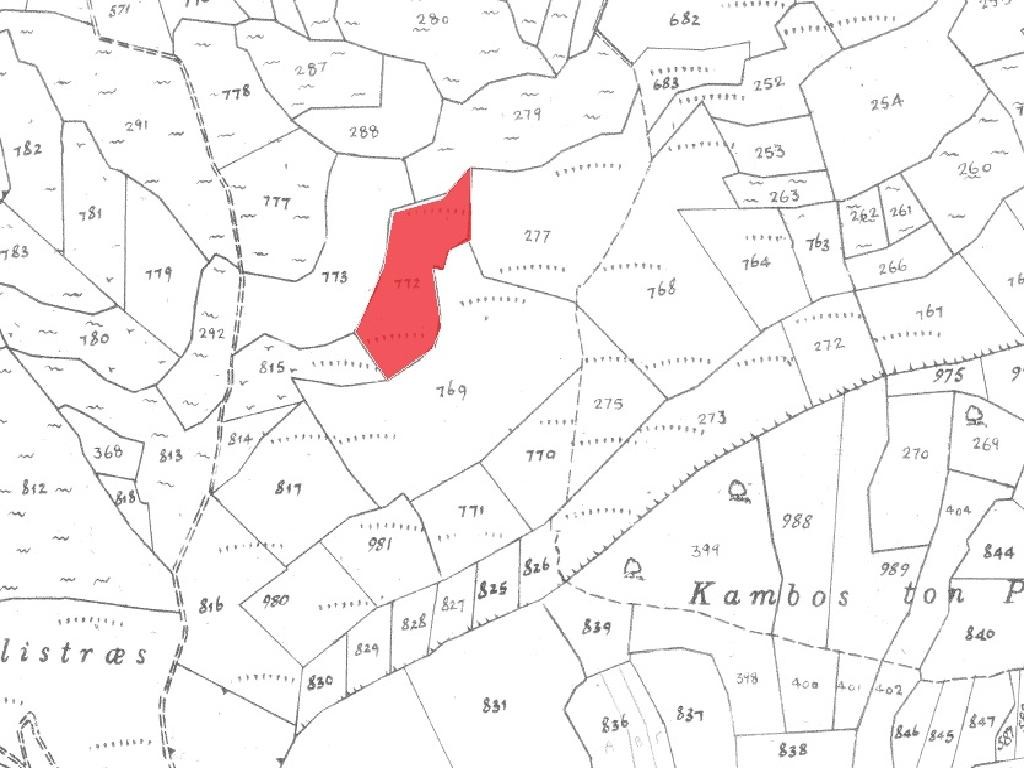 Field - Pachna, Limassol
