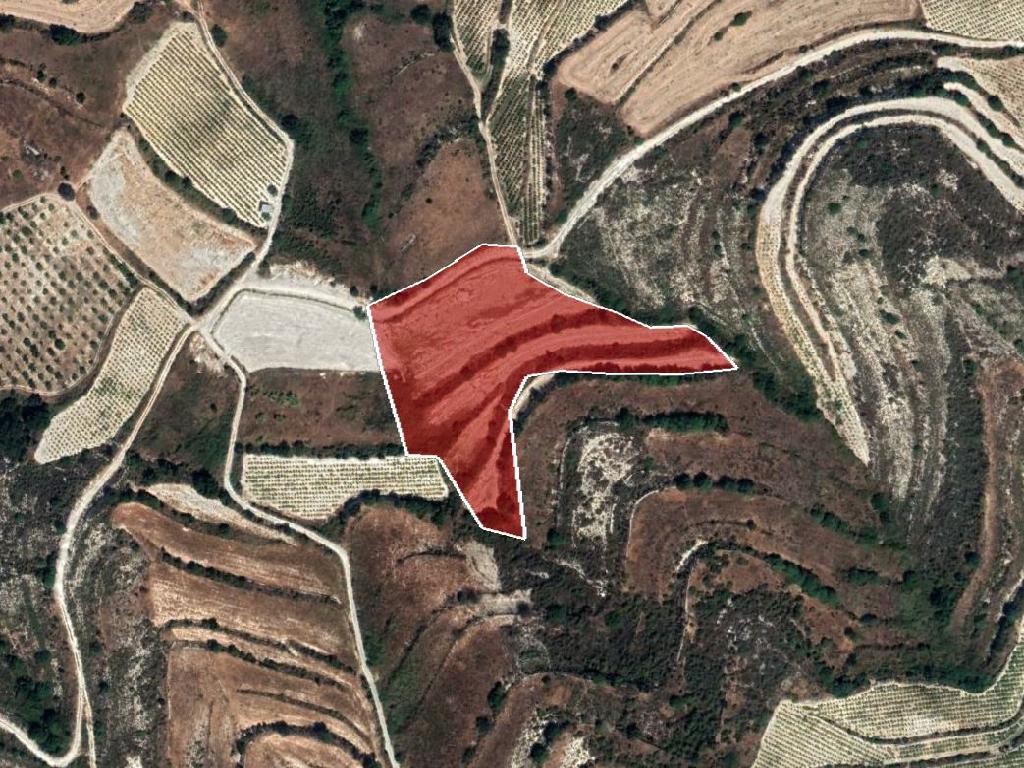 Field - Pachna, Limassol