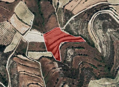 Pachna, Limassol Agricultural Field For Sale | WW27959