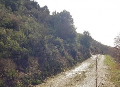 Pachna, Limassol Agricultural Field For Sale | WW27960