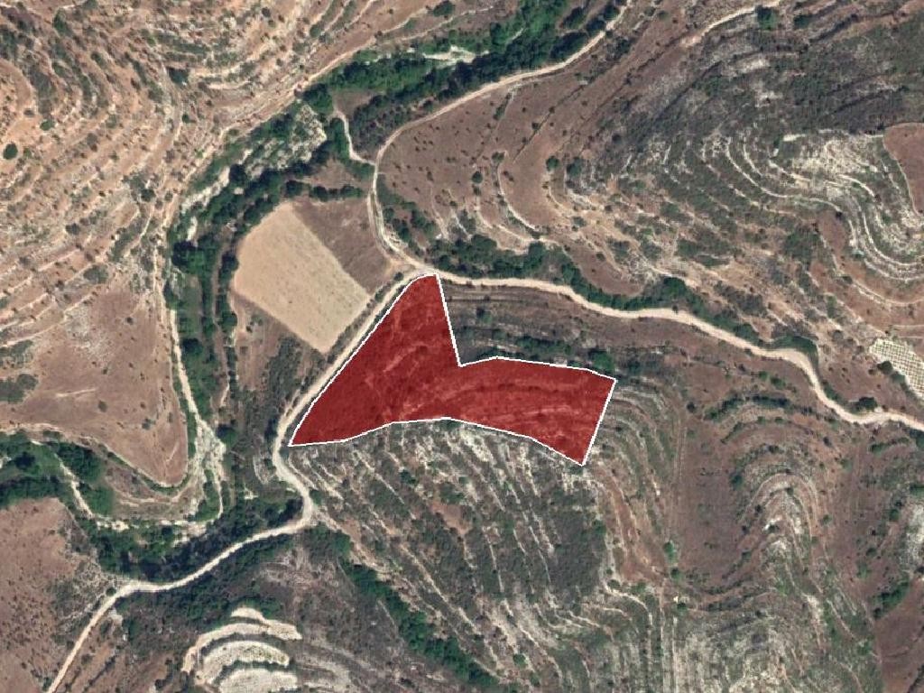 Field - Pachna, Limassol