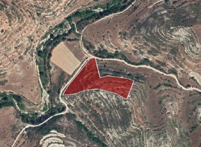 Pachna, Limassol Agricultural Field For Sale | WW27960