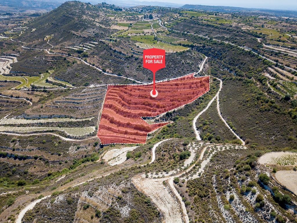 Pachna, Limassol Agricultural Field For Sale | WW27961
