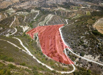 Pachna, Limassol Agricultural Field For Sale | WW27961