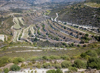 Pachna, Limassol Agricultural Field For Sale | WW27961