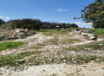 Pachna, Limassol Agricultural Field For Sale | WW27963