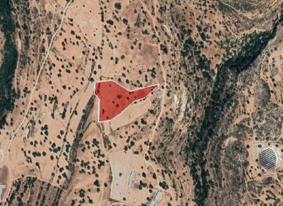 Pachna, Limassol Agricultural Field For Sale | WW27963