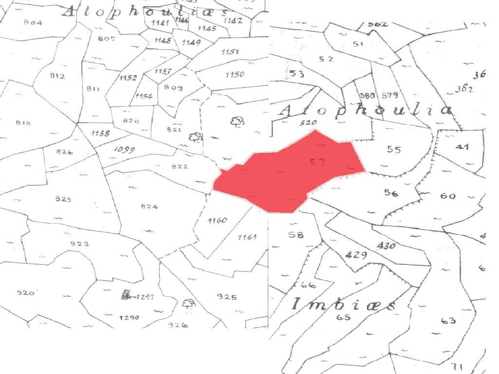 Field– Vasa (Koilaniou), Limassol