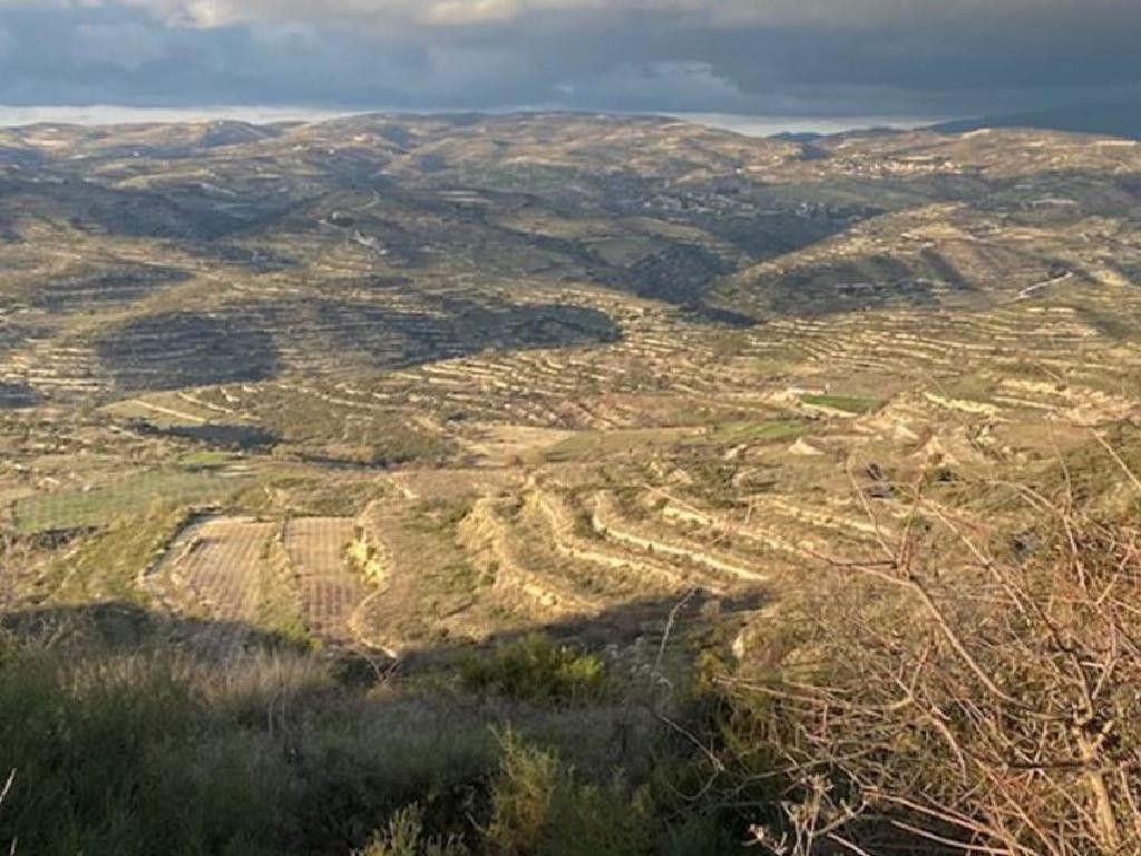 Pachna, Limassol Agricultural Field For Sale | WW27965
