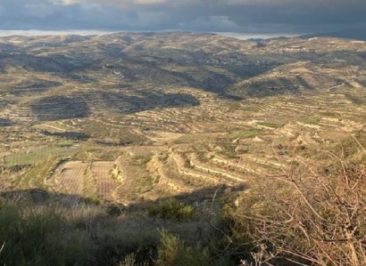 Pachna, Limassol Agricultural Field For Sale | WW27965