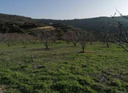 Pachna, Limassol Agricultural Field For Sale | WW27965