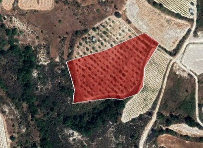 Pachna, Limassol Agricultural Field For Sale | WW27965
