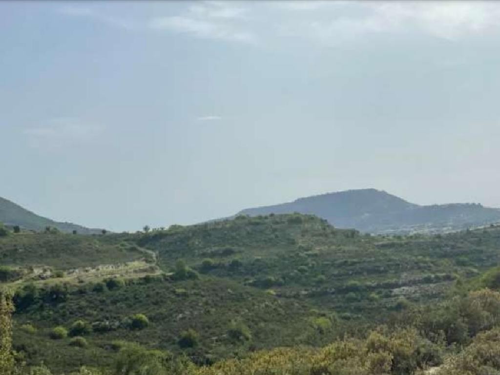 Pachna, Limassol Agricultural Field For Sale | WW27967
