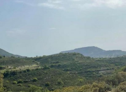 Pachna, Limassol Agricultural Field For Sale | WW27967