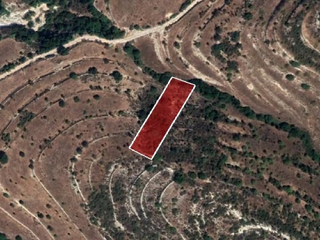 Field - Pachna, Limassol
