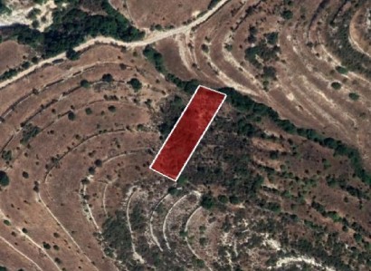 Pachna, Limassol Agricultural Field For Sale | WW27967