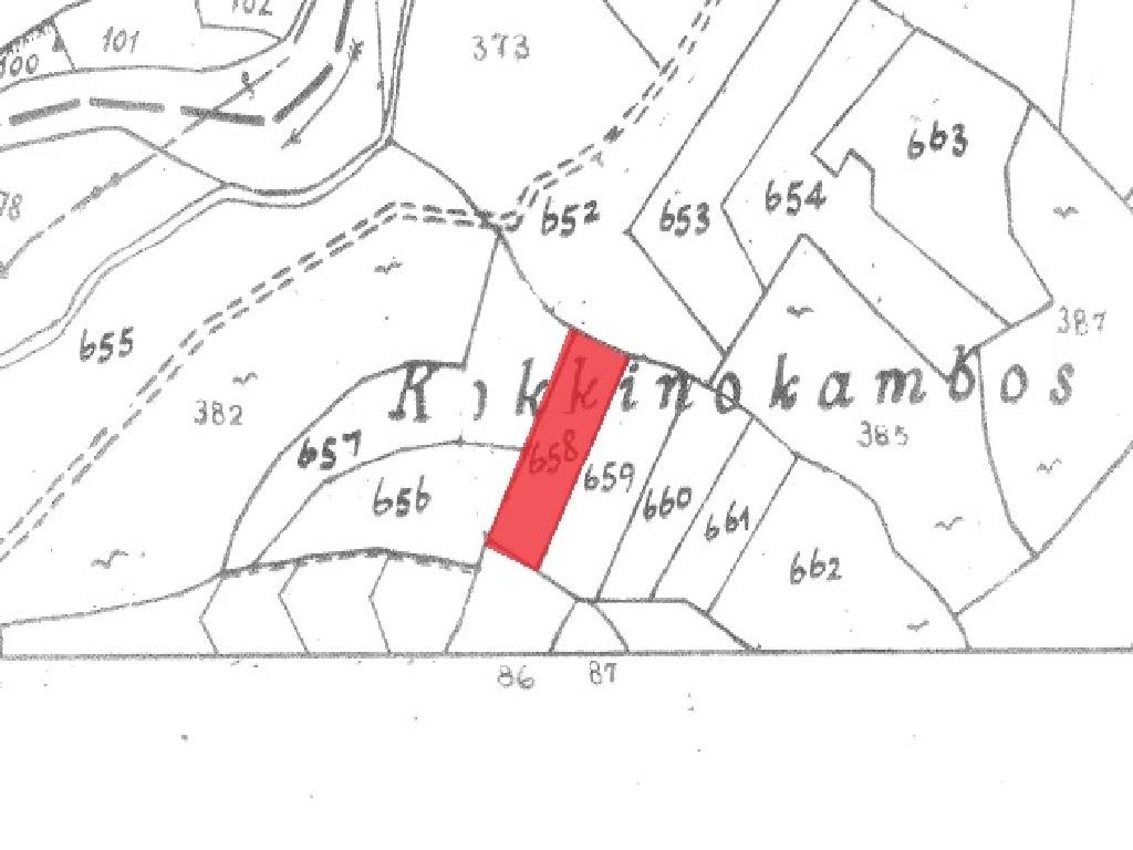 Field - Pachna, Limassol