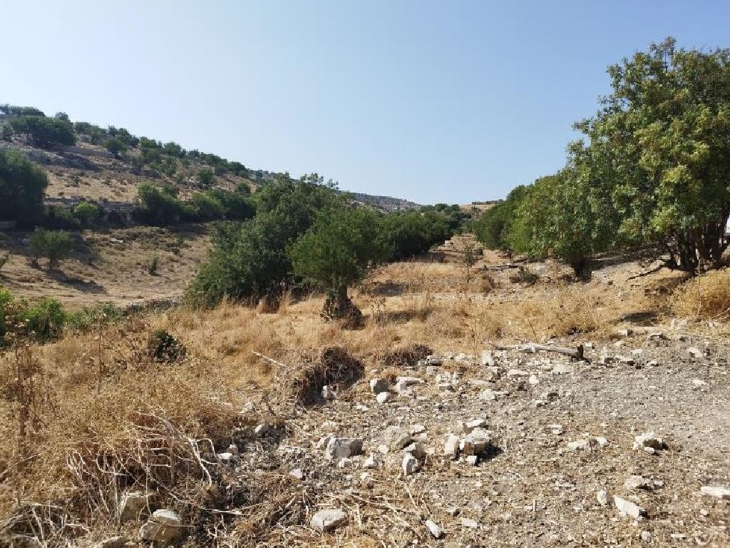 Malia, Limassol Agricultural Field For Sale | WW27968