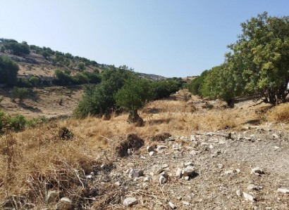 Malia, Limassol Agricultural Field For Sale | WW27968