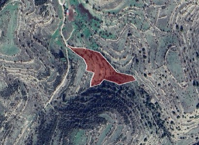 Malia, Limassol Agricultural Field For Sale | WW27968