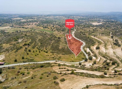 Pachna, Limassol Agricultural Field For Sale | WW27972