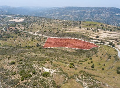 Pachna, Limassol Agricultural Field For Sale | WW27972