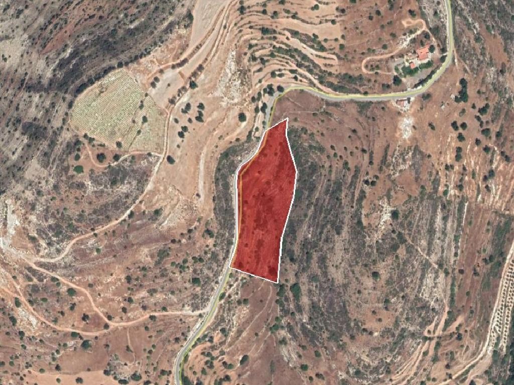 Field - Pachna, Limassol