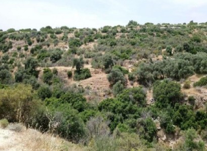 Avdimou, Limassol Agricultural Field For Sale | WW27973