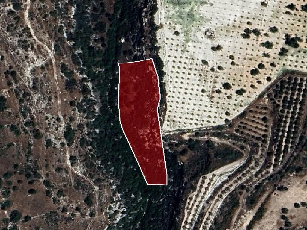 Field - Avdimou, Limassol