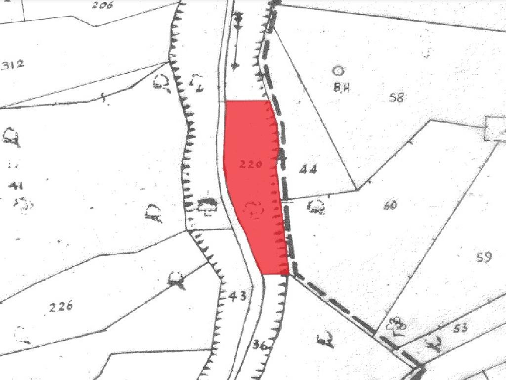 Field - Avdimou, Limassol