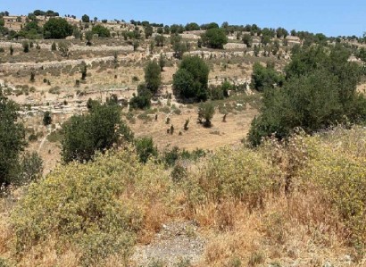 Malia, Limassol Agricultural Field For Sale | WW27975