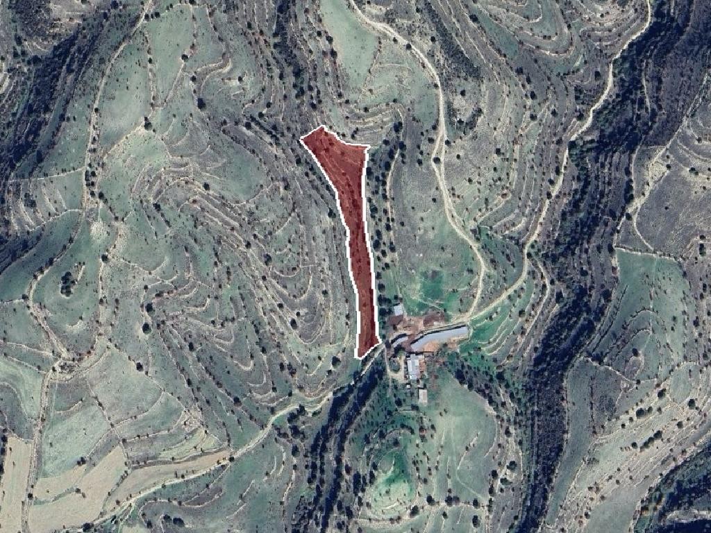 Field - Malia, Limassol