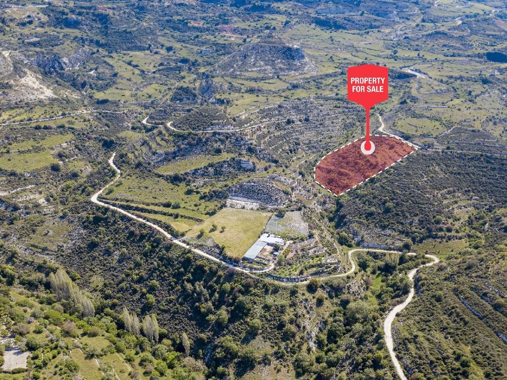 Arsos, Limassol Agricultural Field For Sale | WW27980