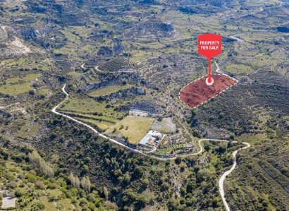 Arsos, Limassol Agricultural Field For Sale | WW27980