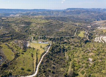 Arsos, Limassol Agricultural Field For Sale | WW27980
