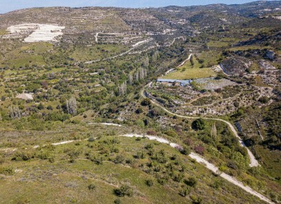 Arsos, Limassol Agricultural Field For Sale | WW27980