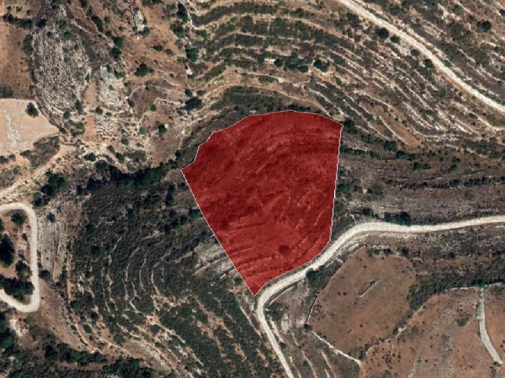 Field - Arsos, Limassol