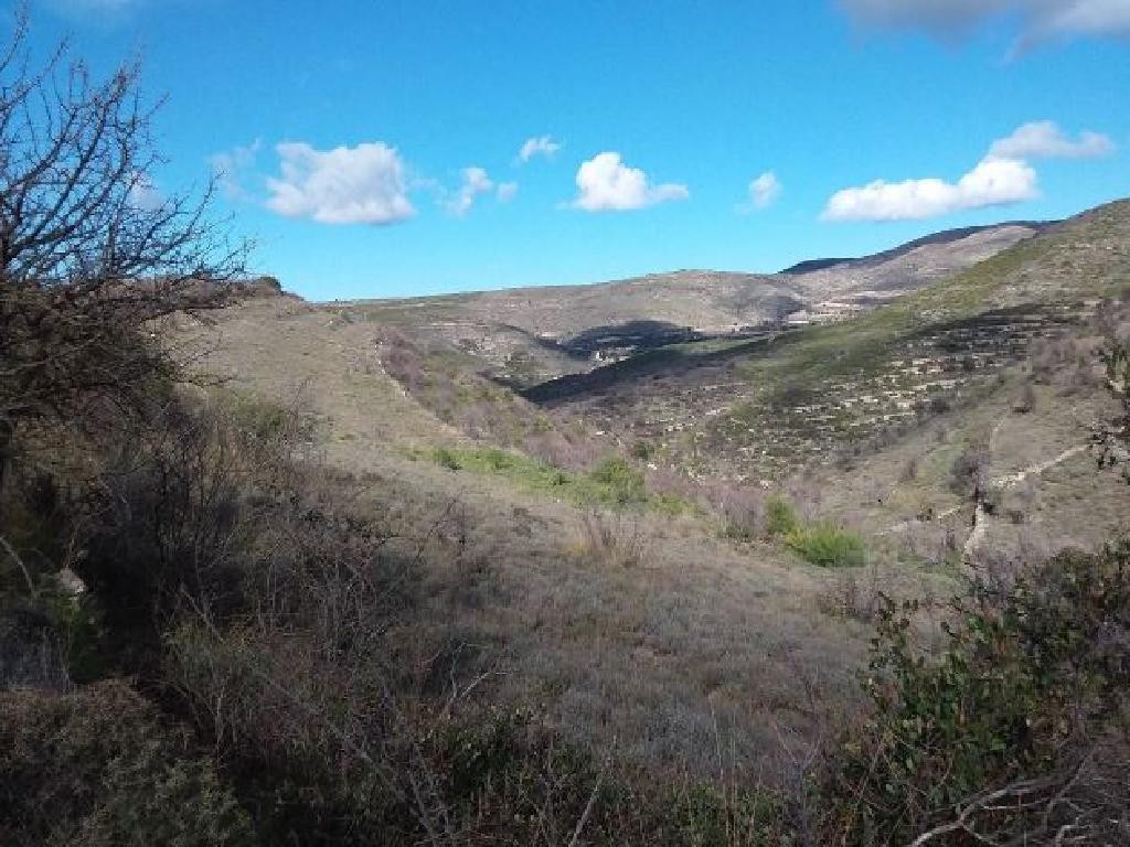 Malia, Limassol Agricultural Field For Sale | WW27982