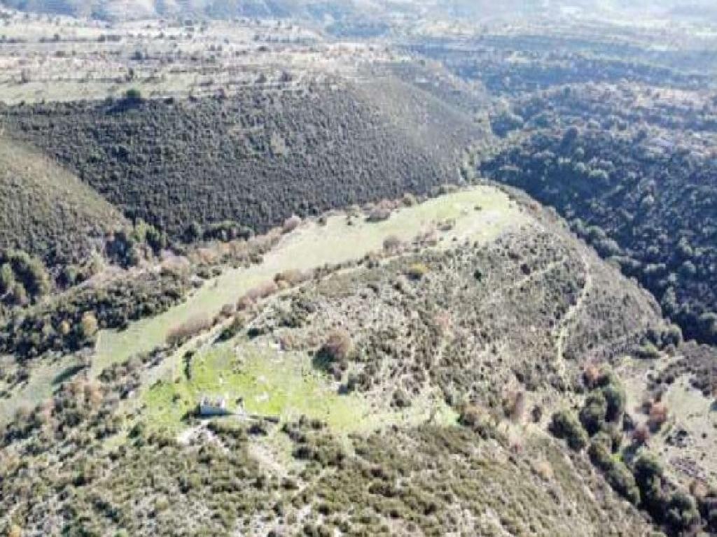 Dora, Limassol Agricultural Field For Sale | WW27984