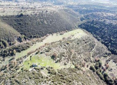 Dora, Limassol Agricultural Field For Sale | WW27984