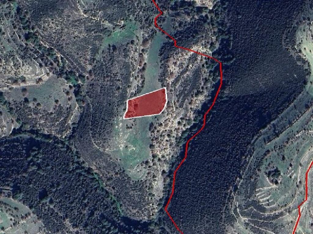 Field - Dora, Limassol