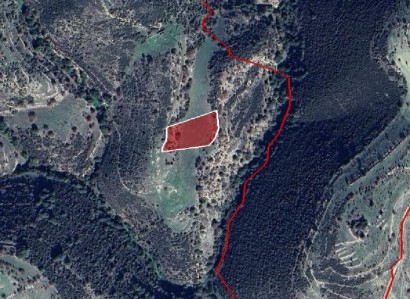 Dora, Limassol Agricultural Field For Sale | WW27984