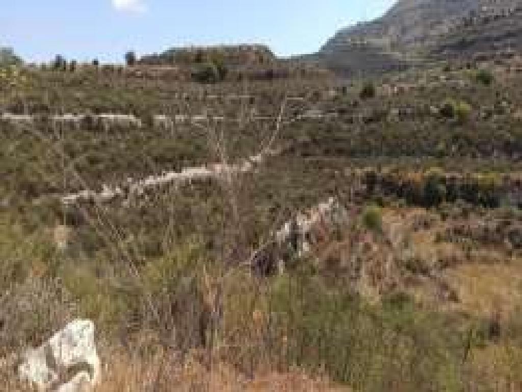 Dora, Limassol Agricultural Field For Sale | WW27985