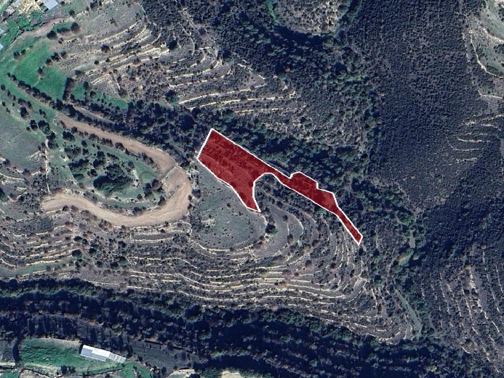 Field - Dora, Limassol