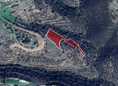Dora, Limassol Agricultural Field For Sale | WW27985