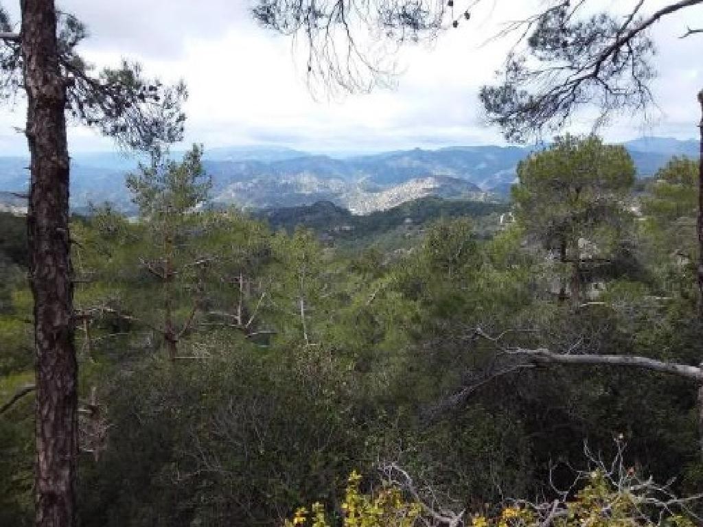 Prodromos, Limassol Agricultural Field For Sale | WW27986