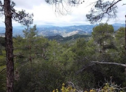 Prodromos, Limassol Agricultural Field For Sale | WW27986