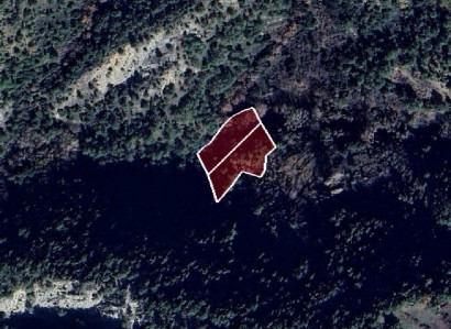Prodromos, Limassol Agricultural Field For Sale | WW27986