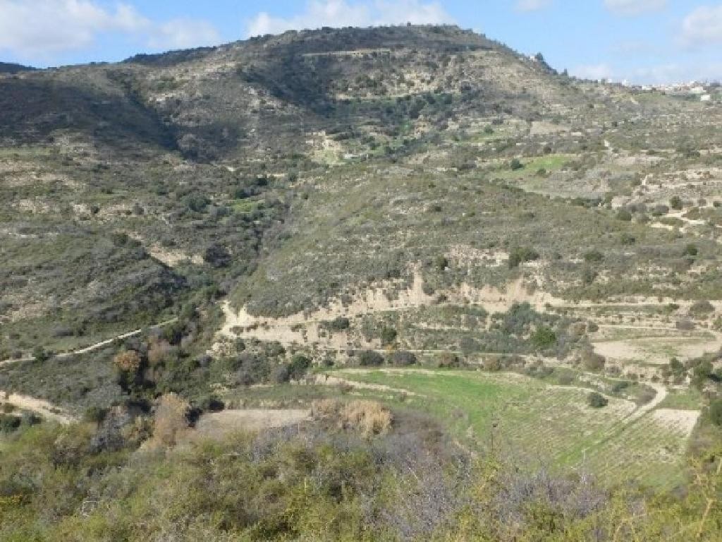 Dora, Limassol Agricultural Field For Sale | WW27987