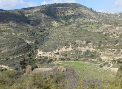 Dora, Limassol Agricultural Field For Sale | WW27987